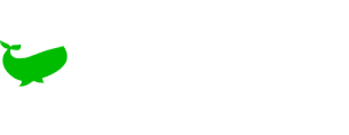 Affiliate partner 1